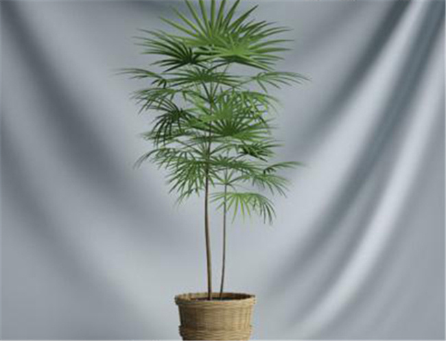 绿色植物 游戏 模型 植物 盆栽 模块 盆栽游戏装饰 植物网游素材 3d模型素材 游戏cg模型