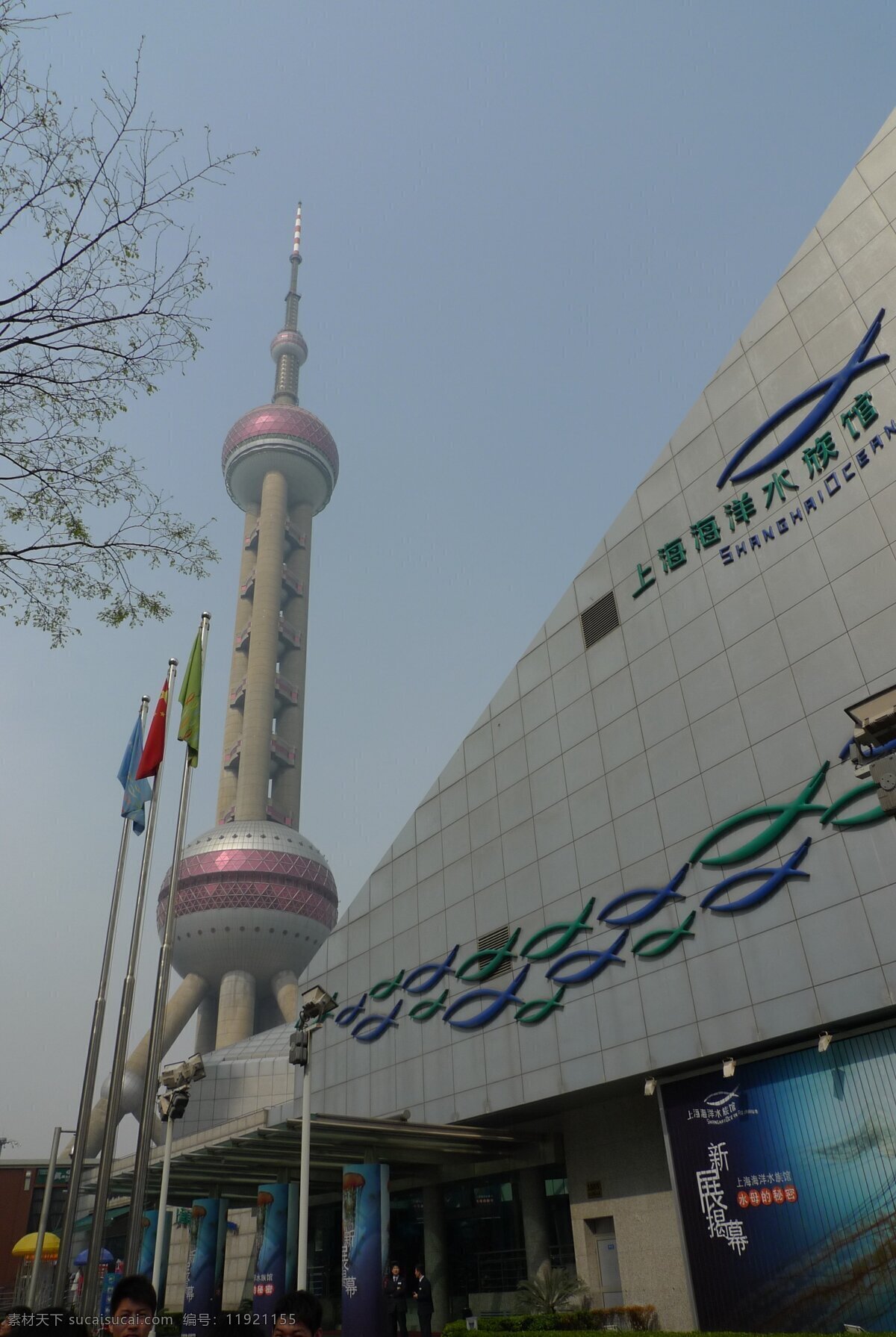 观光 国内旅游 海洋 建筑景观 旅游摄影 上海 摄影图库 上海浦东 水族馆 水 鱼类 浦东 自然景观 生物世界
