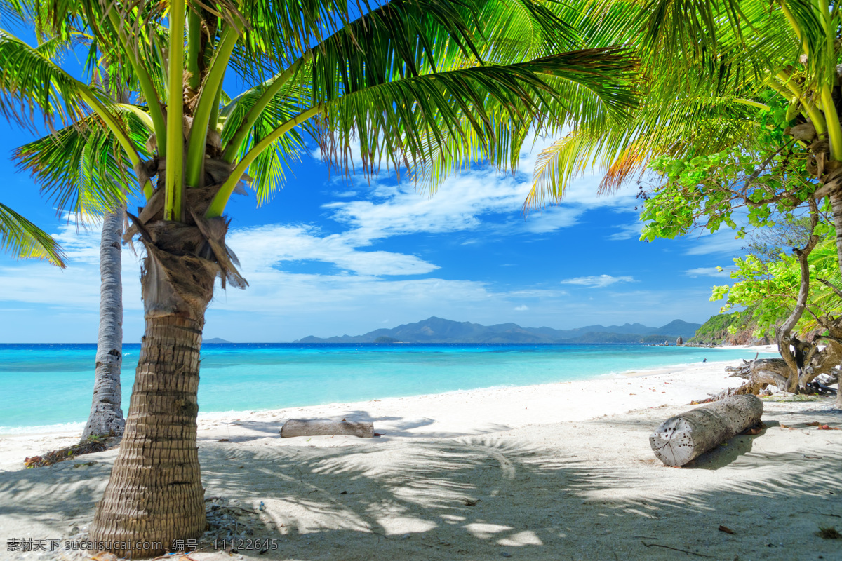休闲 旅游摄影 大海 海水 沙滩 椰子树 休闲旅游 自然风光 景观 景区 自然风景 自然景观 白色