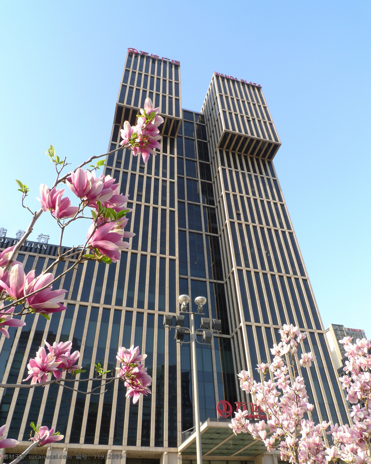 春 建筑 建筑景观 蓝天 现代 现代建筑 玉兰花 无云 装饰灯 竖构图 自然景观 装饰素材 灯饰素材