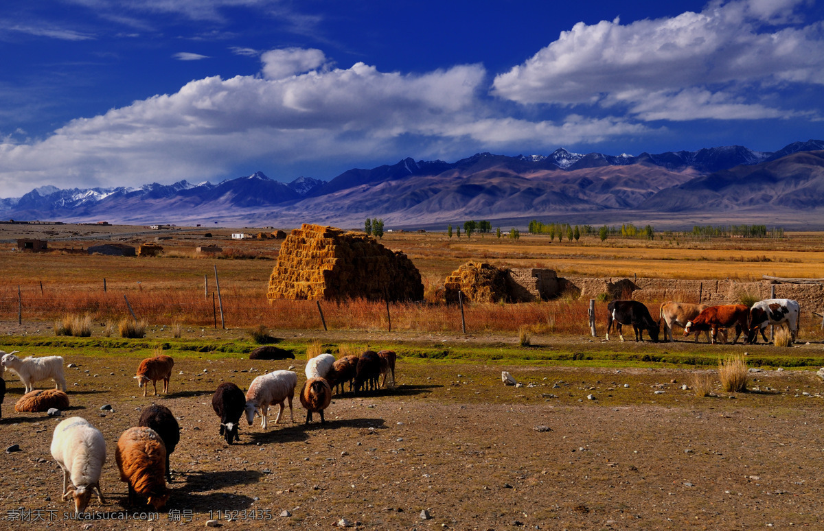 唯美风景 风光 旅行 自然 新疆 温泉县 山 旅游摄影 国内旅游