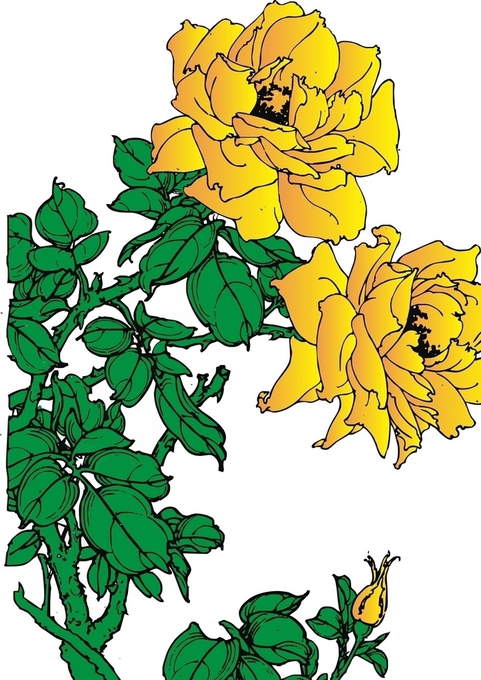 月季 矢量图 花朵 植物 插画