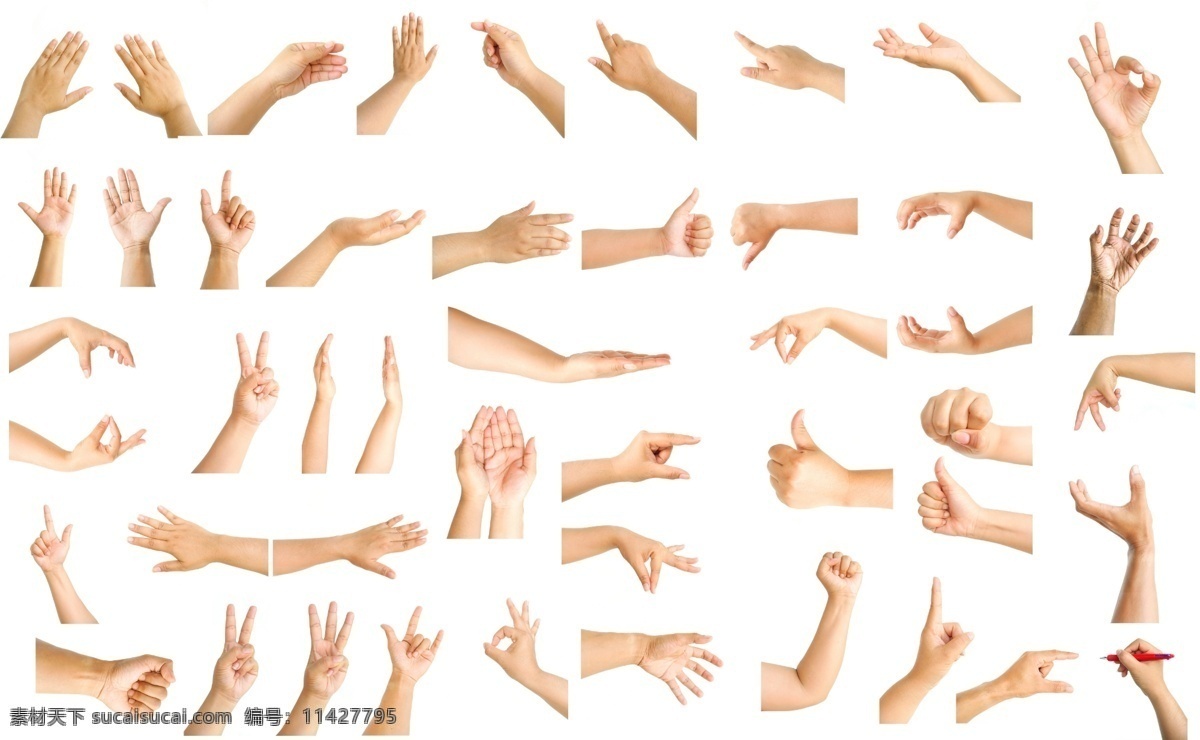 手势动作 多种手势图片 多种手势 伸手 手抓 手 分层