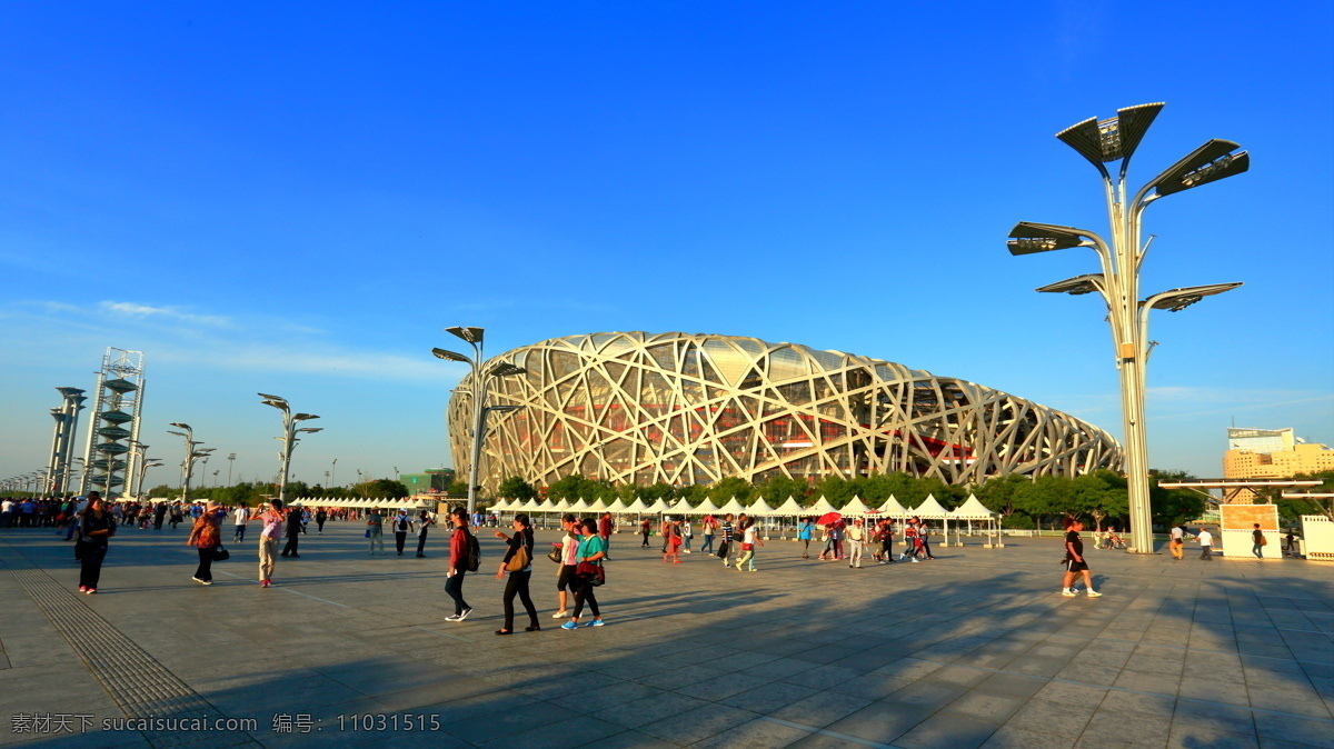 北京 鸟巢 水立方 摄影作品 奥运 自然景观 山水风景