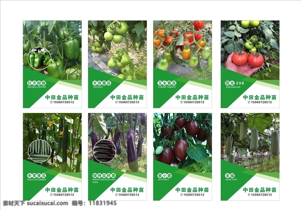 农产品图片 农产品 展板 海报 简介 种苗 绿色 健康 蔬菜