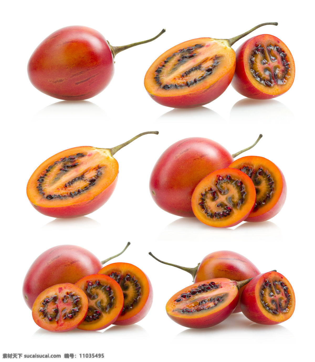 新鲜 番茄 树 新鲜树番茄 新鲜水果 果实 水果摄影 蔬菜图片 餐饮美食