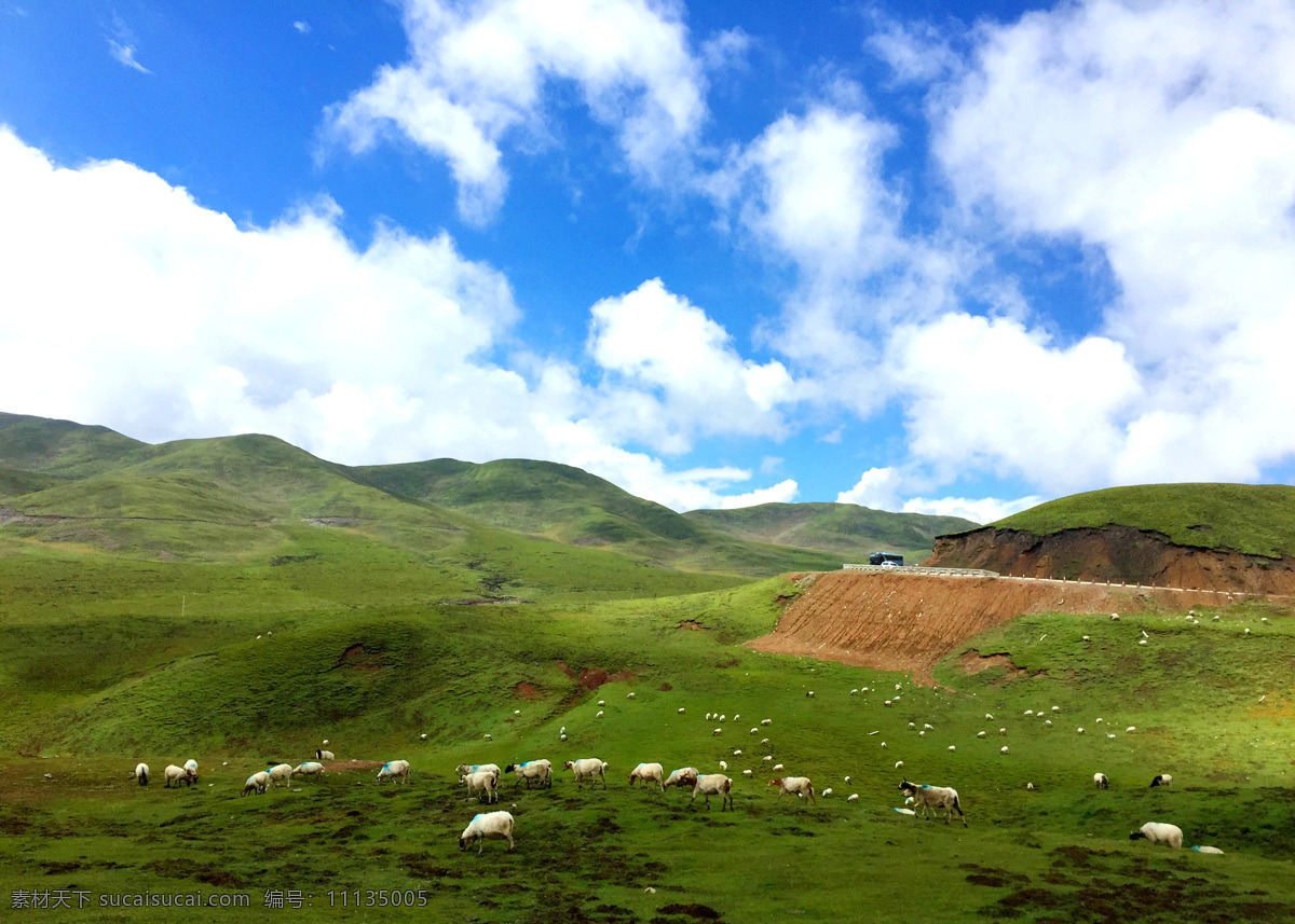 风景 蓝天 白云 草地 草原 牛羊 道路 青青 蓝色 绿色 飘渺的云朵 美景 旅游摄影 国内旅游