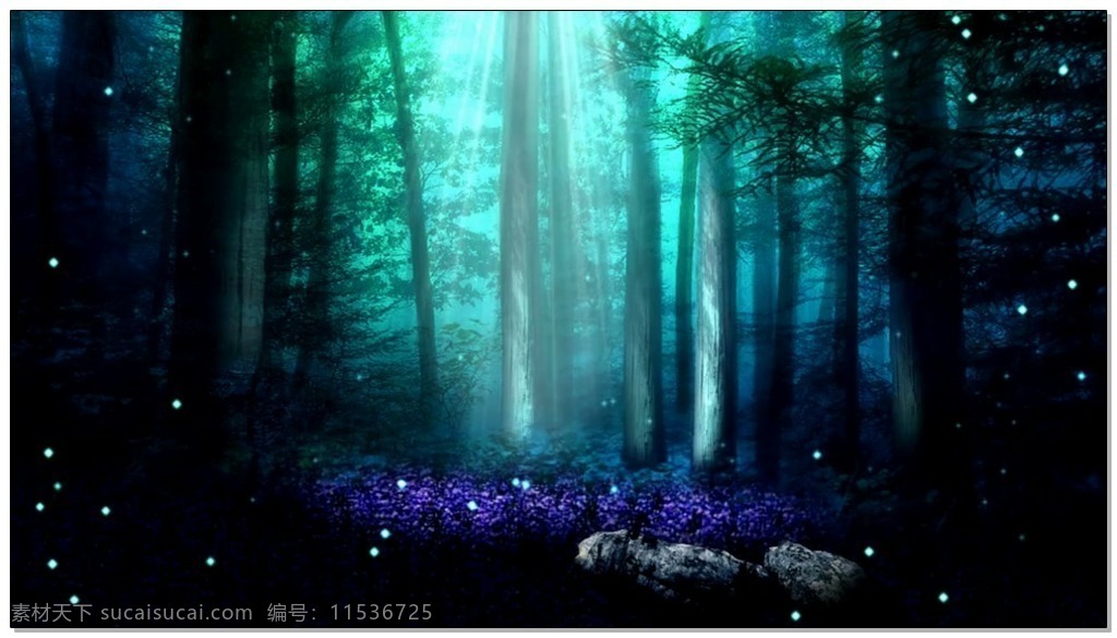 薰衣草 蓝色 森林 视频 梦幻 童话 视频素材 动态视频素材