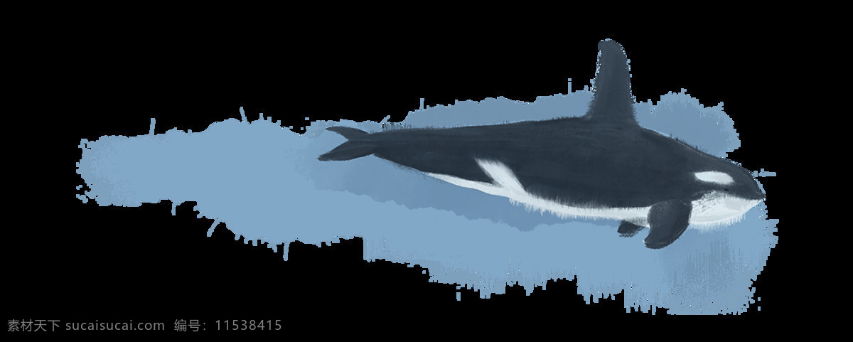 黑色 硕大 鲸鱼 元素 png元素 海洋 免抠元素 生物 透明素材