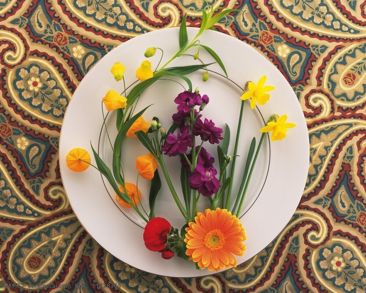 花艺 大餐 花朵 花饰 盘子 郁金香 紫罗兰 花艺大餐 稚菊 生物世界