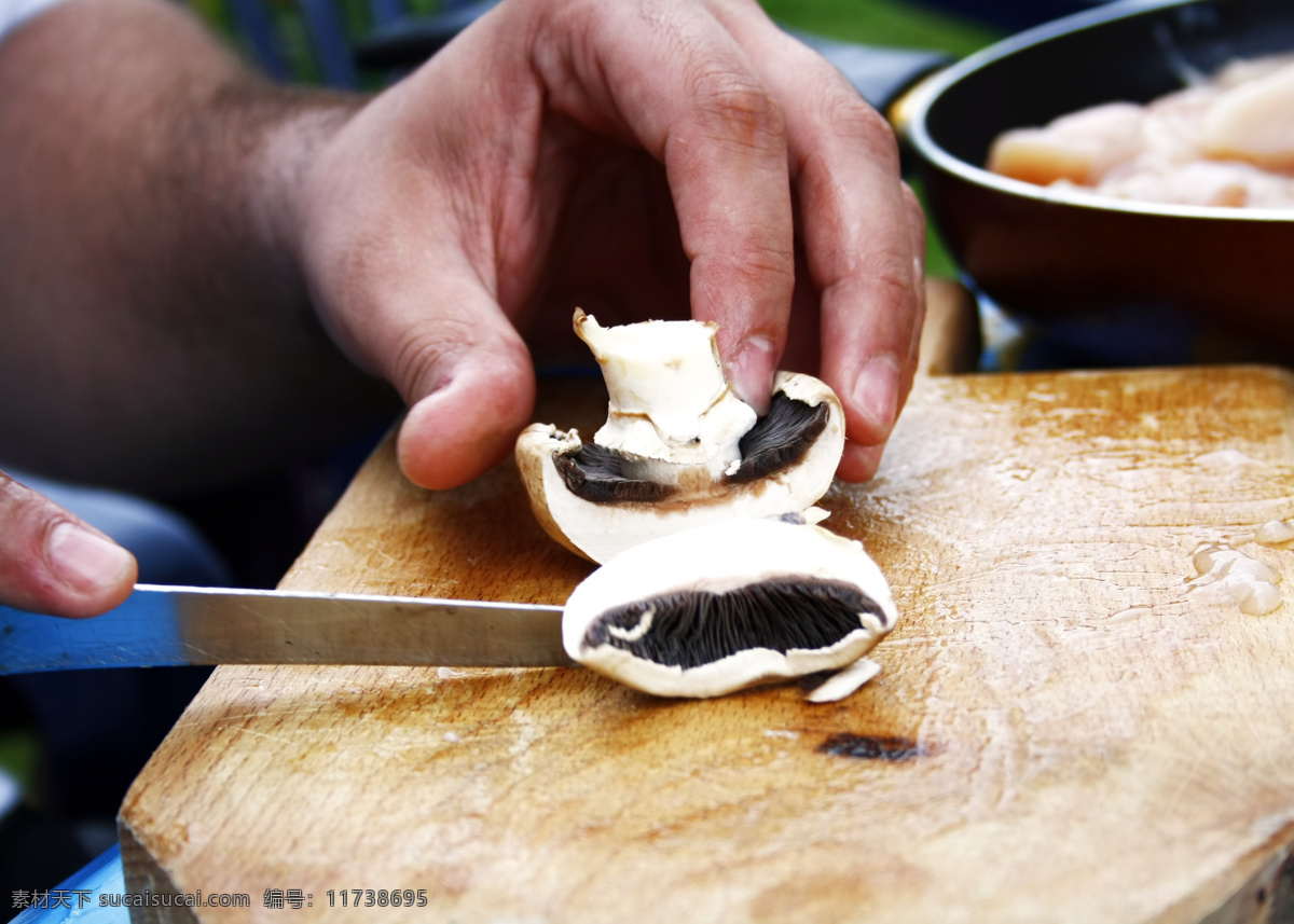 蘑菇 蔬菜 美食 烹饪 其他生物 生物世界 食物 视频 蘑菇蔬菜 野生菌 食用菌 做饭 psd源文件