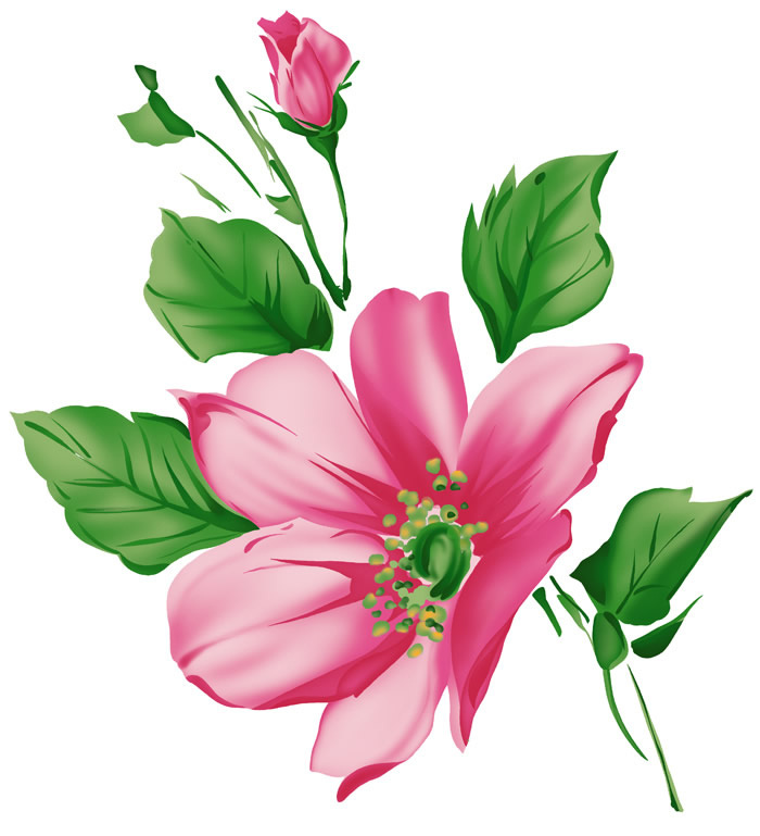 位图免费下载 服装图案 花卉 时尚休闲女装 位图 植物 成熟优雅女装 面料图库 服装设计 图案花型