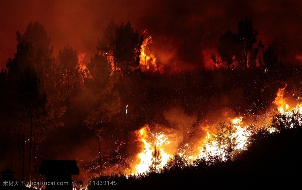 森林大火 山火 篝火 柴火 火焰 篝火晚会 熊熊烈火 沙滩篝火 大火 营火 火 冒险 木头 照明 余烬 烧烤 火苗 燃烧 火焰背景 红色火焰 动感火焰 碳火 风景 自然景观