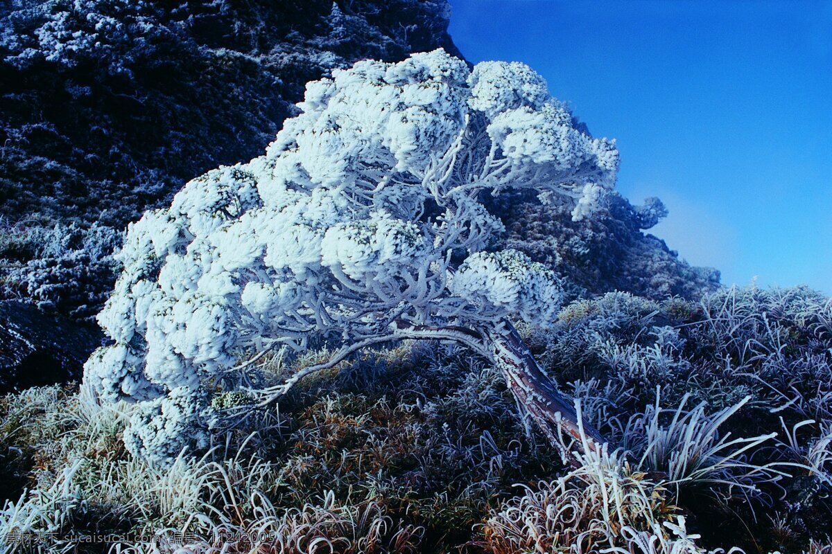 冬季风景