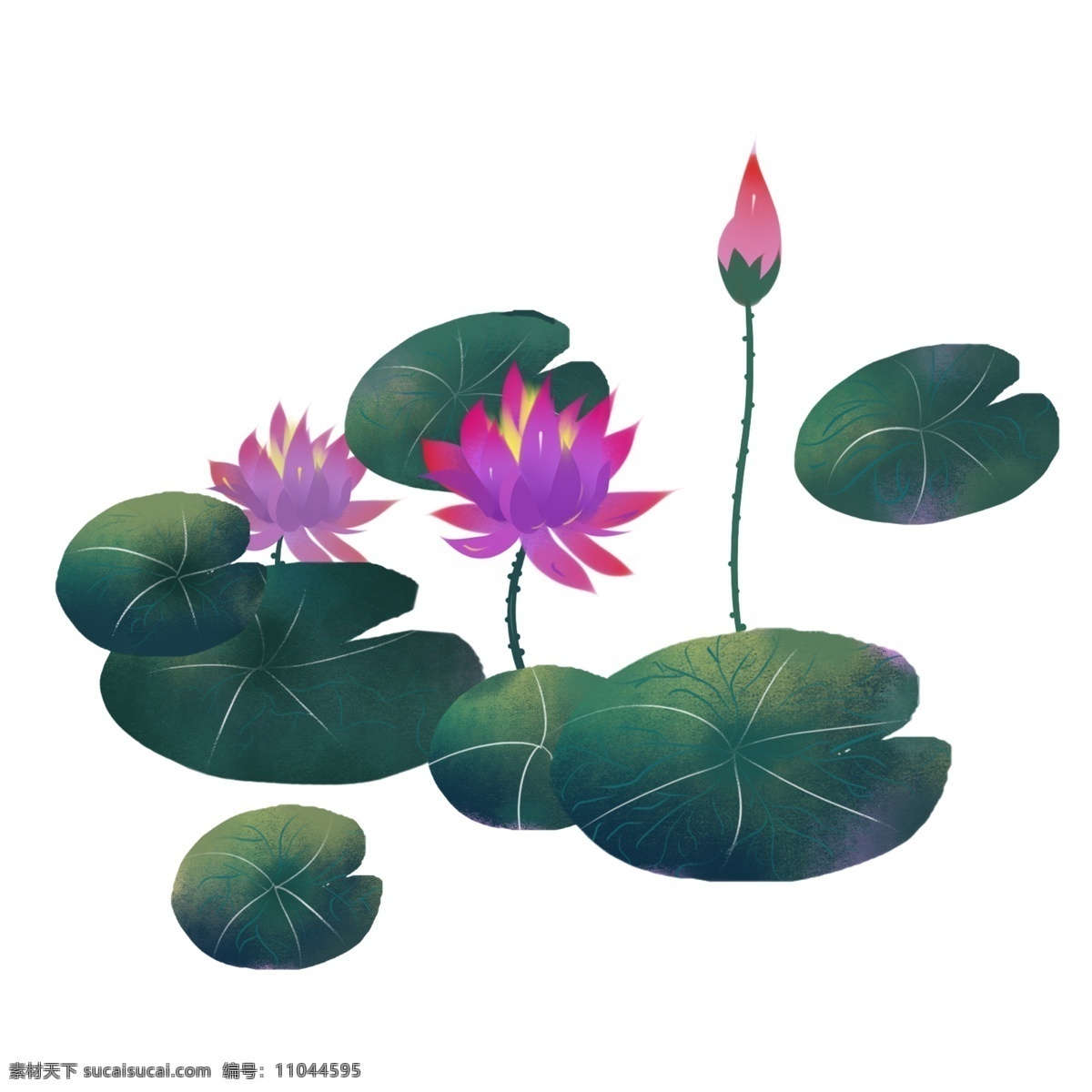 立夏 复古 小 清新 荷花 荷叶 花 植物 墨绿色 绿色 红色 紫色
