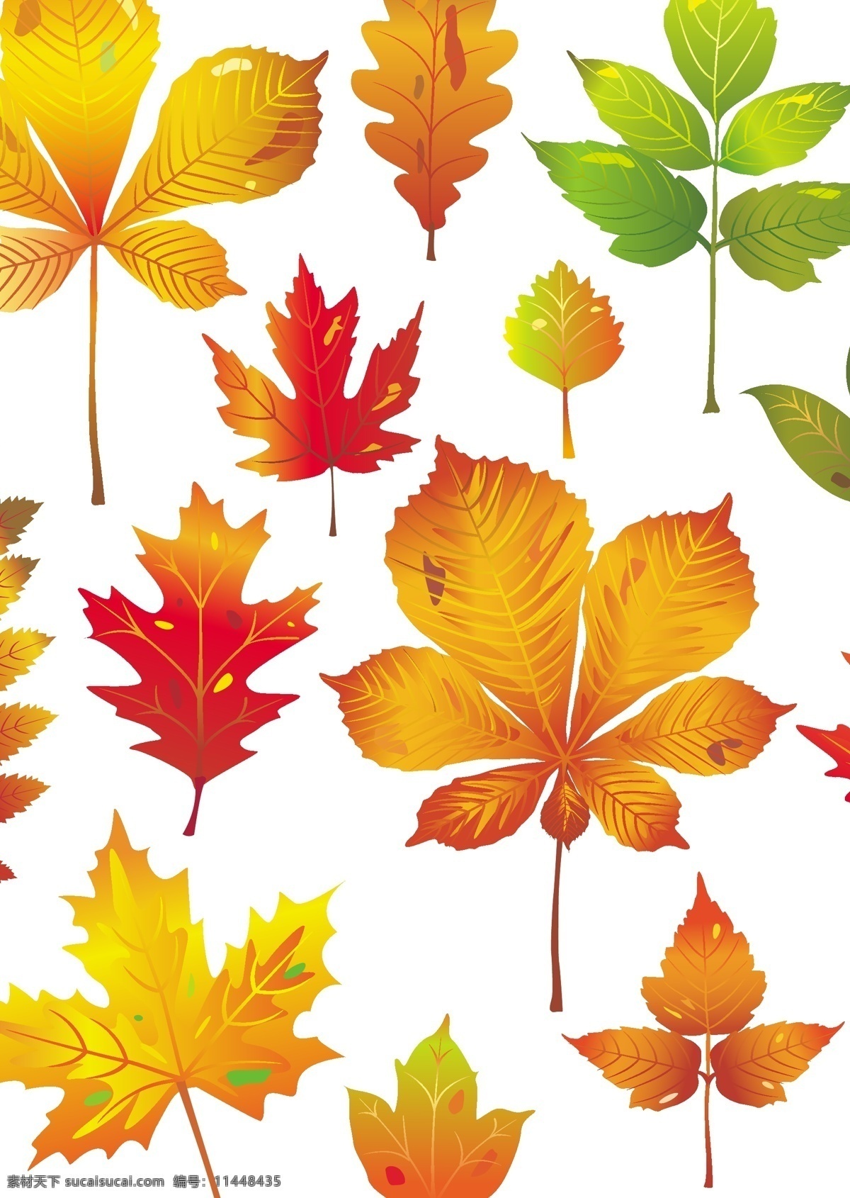 秋天 树叶 矢量 背景图片 枫叶 红叶 模板 飘落 设计稿 矢量素材 素材元素 叶片 秋季树叶 源文件 矢量图