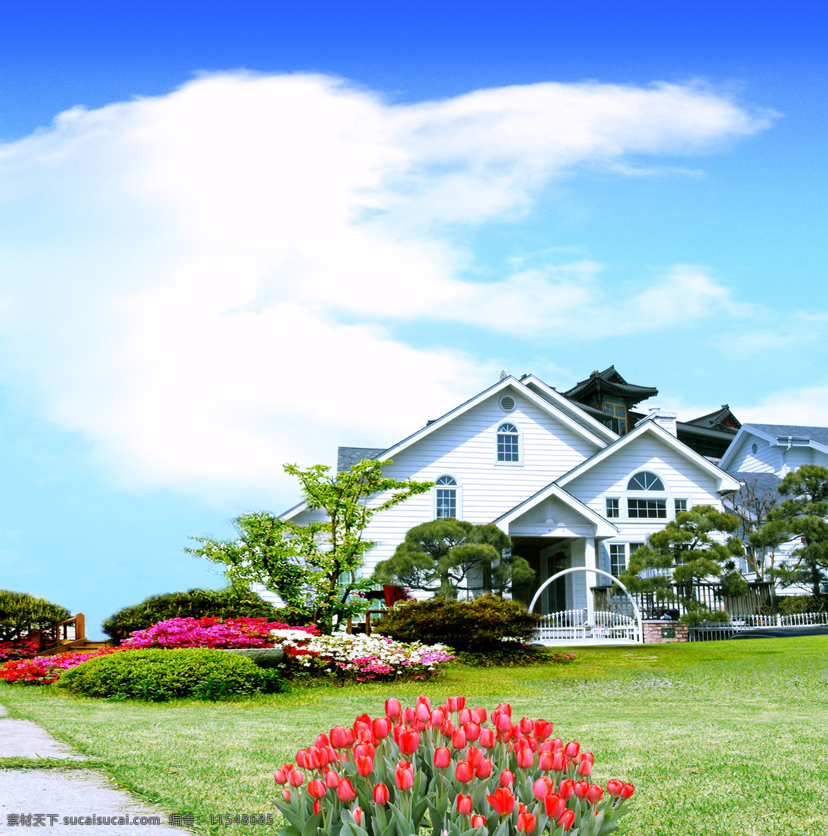 风景田园 天空 花朵 房屋 白色