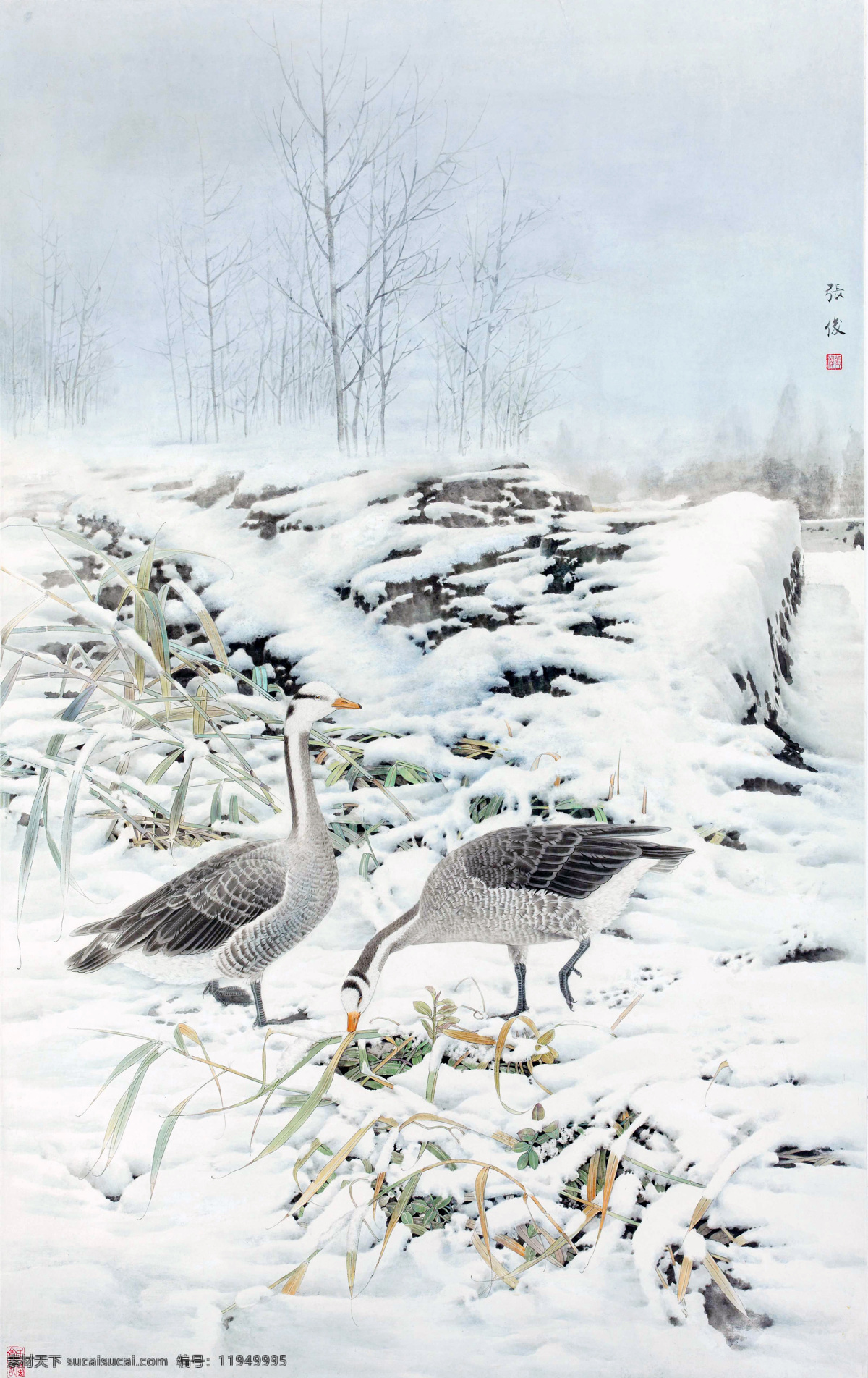 国画 绘画书法 芦苇 树木 文化艺术 雪地 张俊 工笔 花鸟 设计素材 模板下载 张俊工笔花鸟 家鹅 雪石