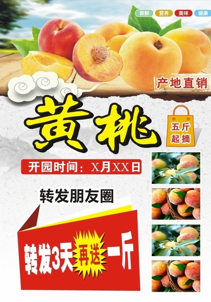 黄桃 宣传 海报 推广 桃子