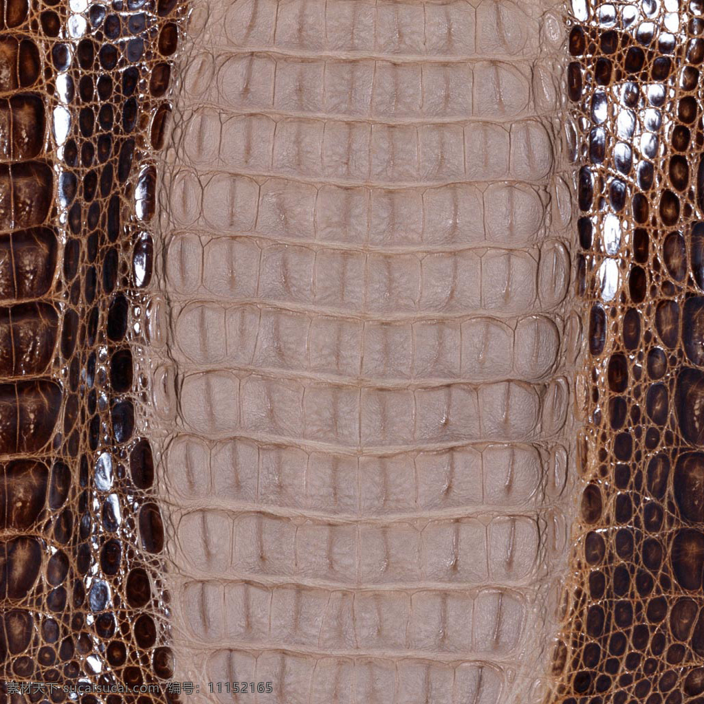 实物 面料 服装图案 实物面料 动物皮纹 鳄鱼皮 面料图库 服装设计