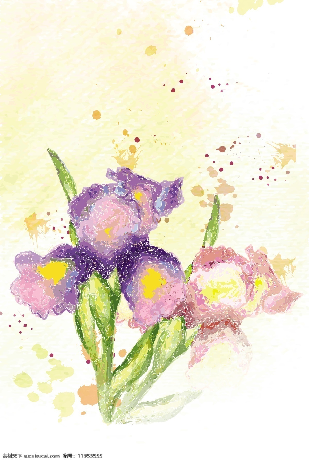 美丽 兰花 水彩画 美丽的兰花 花朵 花卉 花纹花边 底纹边框 矢量素材 白色