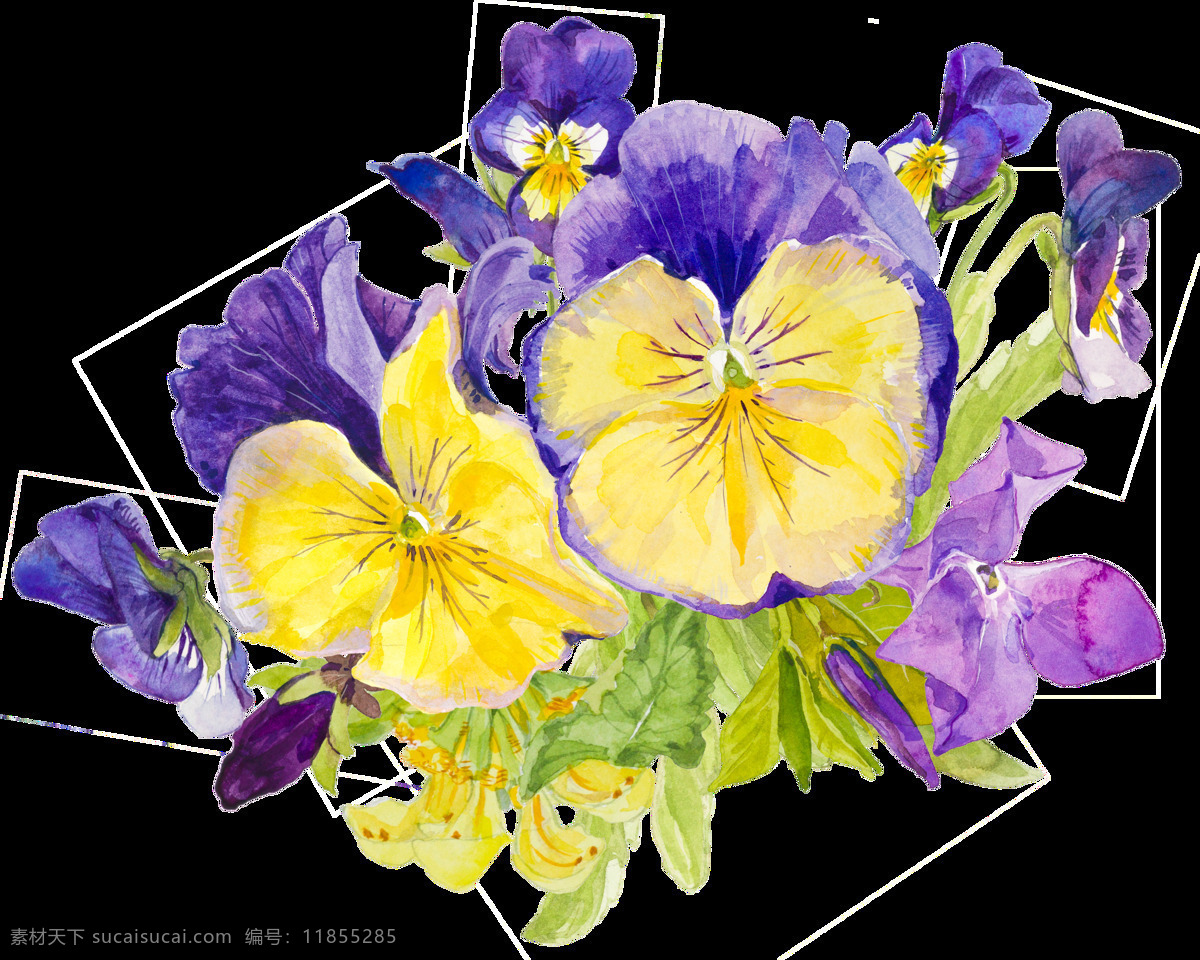 紫 黄色 花朵 水彩 手绘 透明 卡通 透明素材 免扣素材 装饰图案