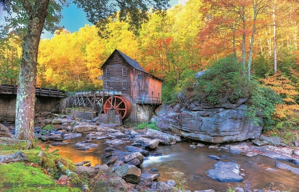美国 石磨 格莱德河 巴布科克 西弗吉尼亚 州立 公园 秋天 小溪 河流 落叶 大树 森林 自然风光 自然景观 自然风景