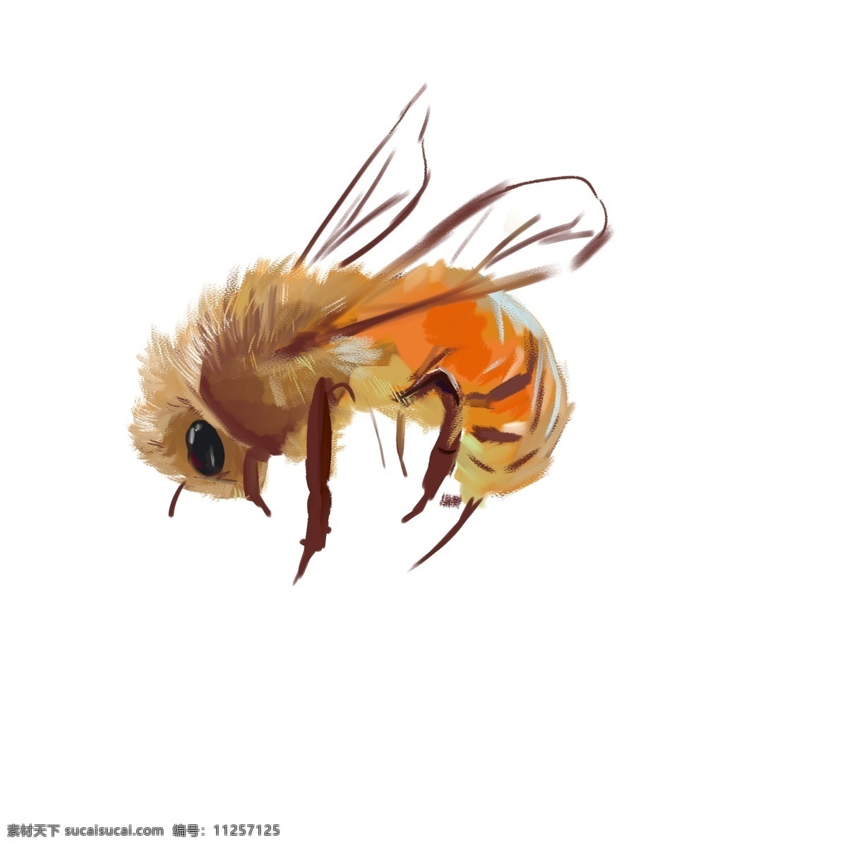 动物昆虫蜜蜂 动物 昆虫 蜜蜂 黄色 可爱 手绘