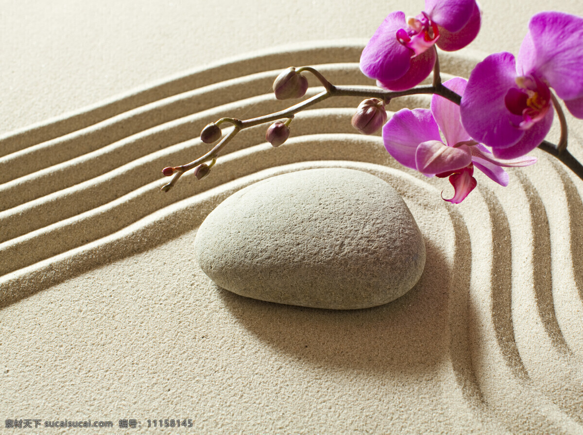 石头 鲜花 沙子 背景 spa水疗石 spa 美容 养生 花朵 鹅卵石 石块 底纹背景 沙地 其他风光 风景图片