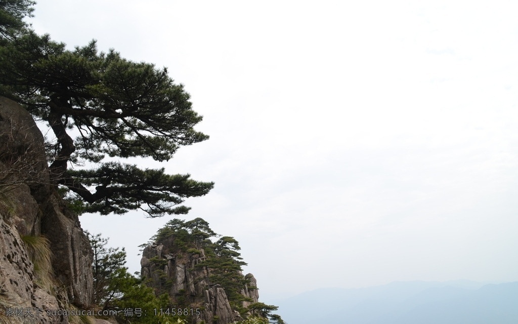 黄山风光 黄山旅游 黄山美景 旅游 云海 松树 高山 风景名胜 自然景观 安徽黄山 黄山秋色 黄山 安徽旅游景点 黄山景色 黄山山峰 山峰