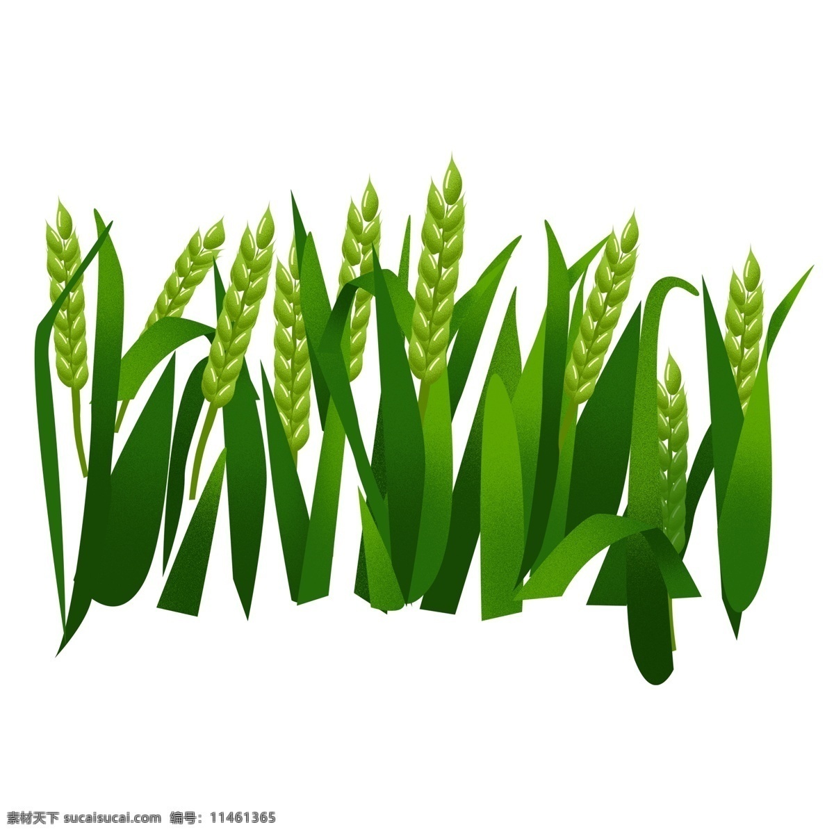 简约 手绘 丰收 麦子 透明 唯美 装饰图案 免扣素材 透明素材 绿色 植物