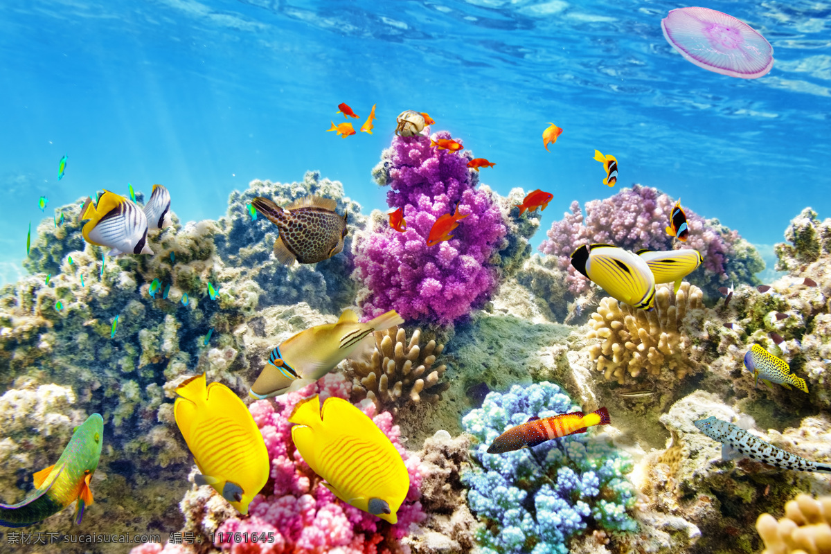 海底世界风景 鱼类动物 鱼 海鱼 珊瑚 海洋风景 大海风景 海洋海边 自然景观 青色 天蓝色