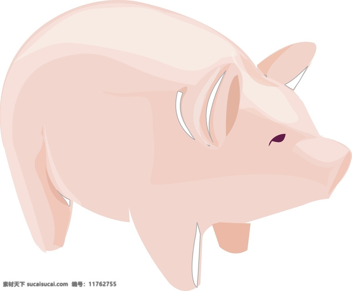 插画 动物 猪 肥猪 白色