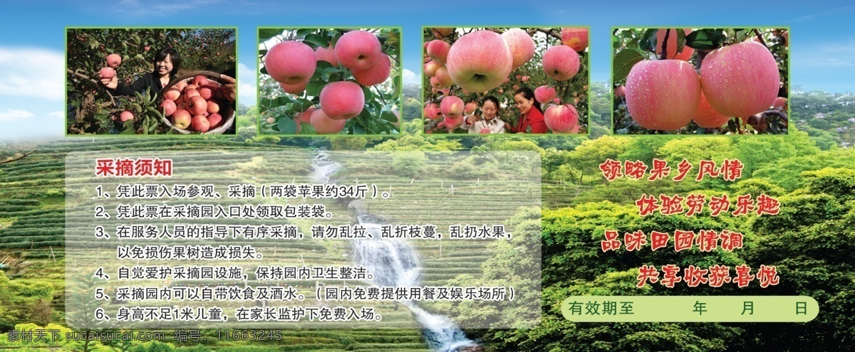 宏 泉山 庄 采摘 园 门票 树木 蓝天 苹果图片 psd文件 绿色