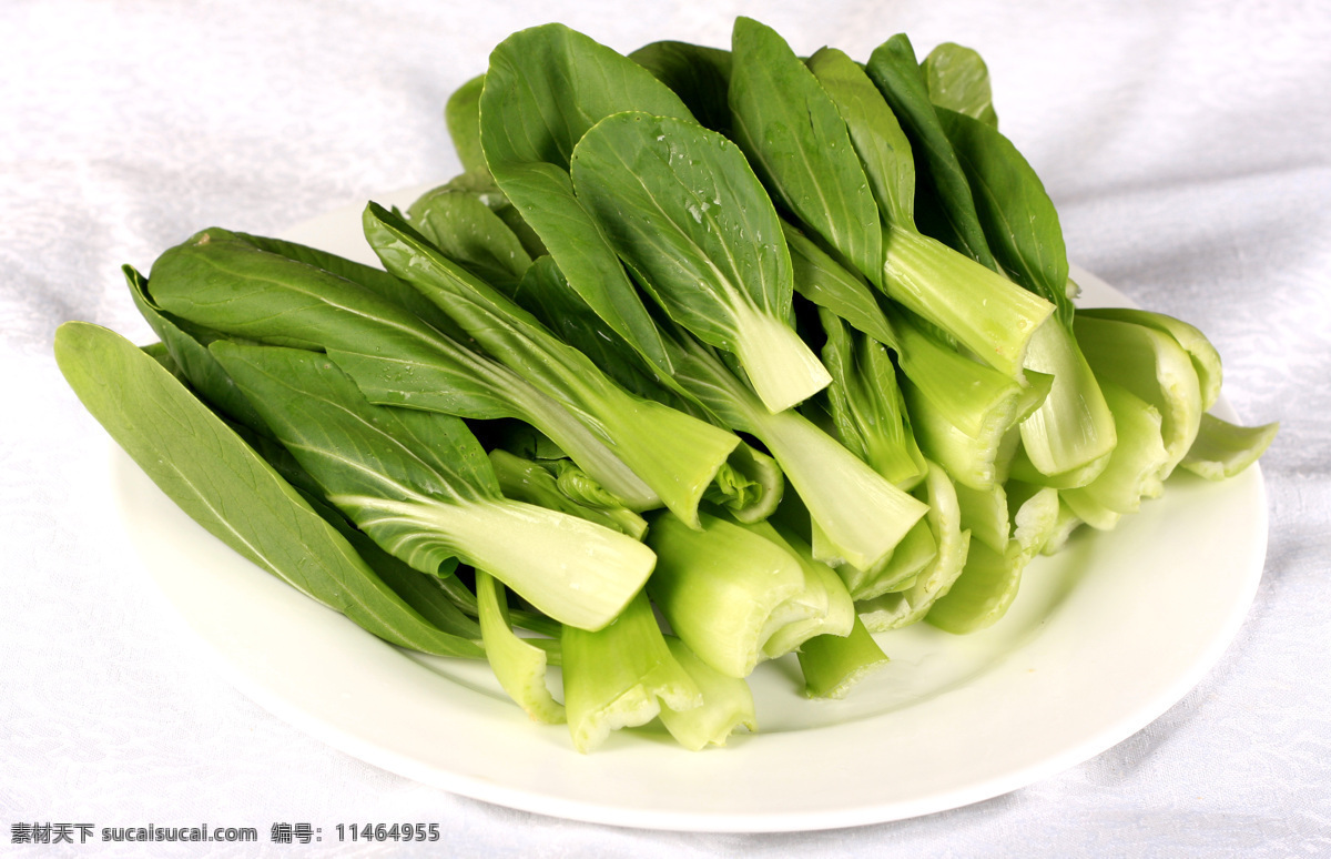 小青菜 桌布 盘 青菜 蔬菜 绿色 新鲜 食物原料 餐饮美食