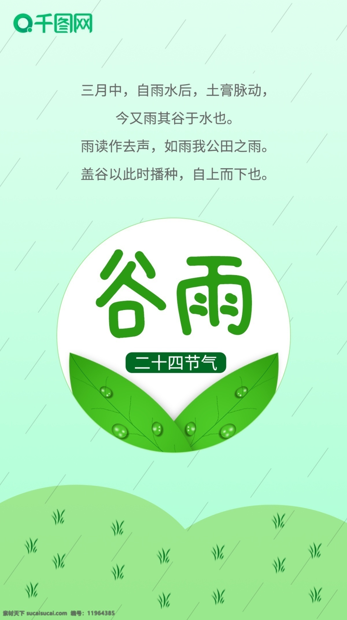 月 谷雨 气节 启动 页 启动页 3月 闪屏 小清新