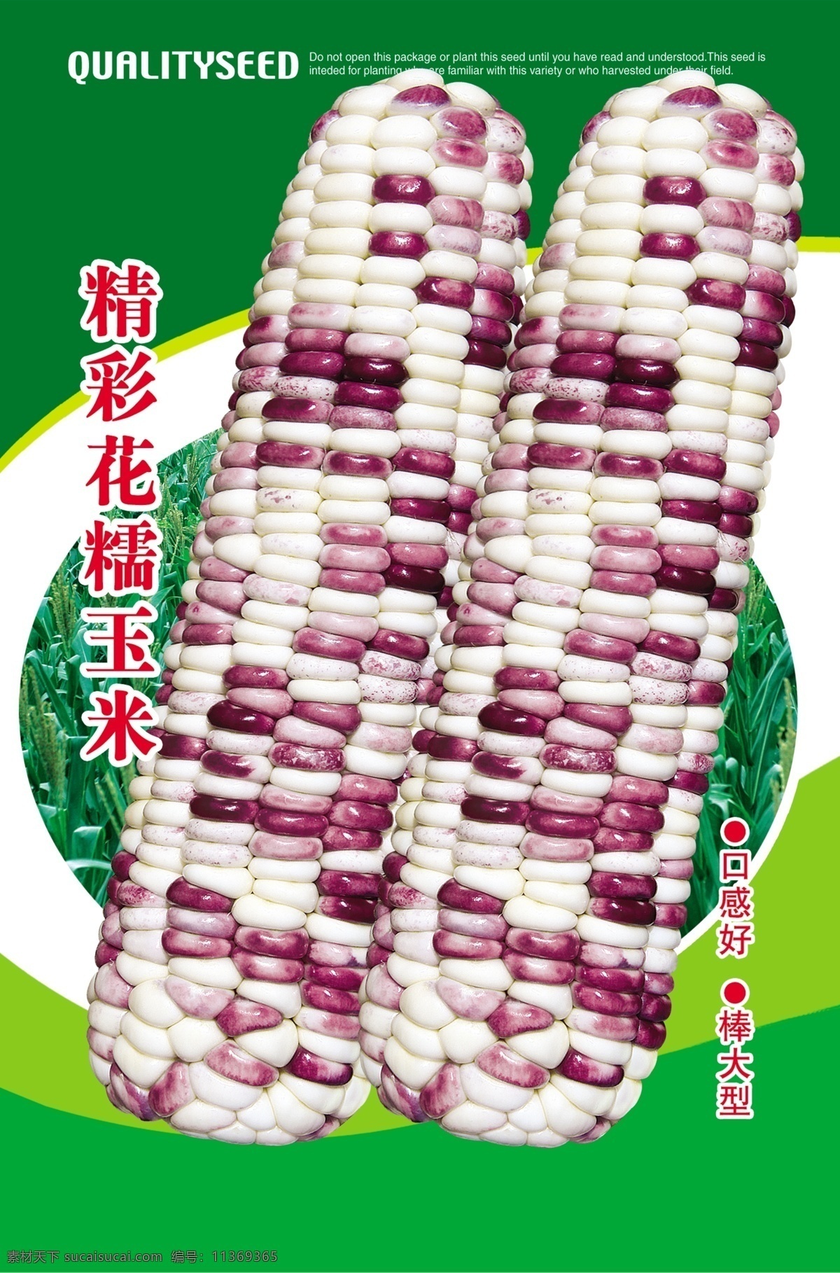 花 糯玉米 包装袋 玉米种子袋 玉米 玉米图 花玉米 玉米袋 口感好 棒大型 包装设计 广告设计模板 源文件