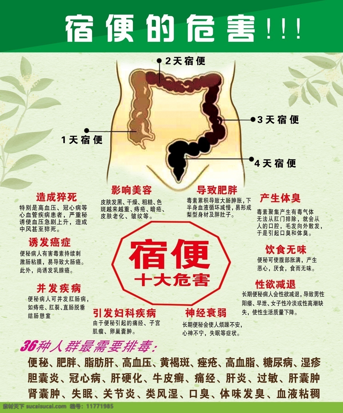 排毒 宿便 美容 保健 调理 清肠海报 排毒海报 保健海报 jinguangsheji 分层
