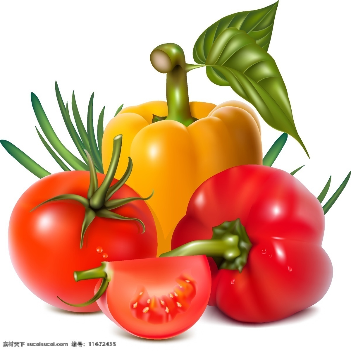 矢量 新鲜 蔬菜 彩 椒 番茄 番茄图片 辣椒 矢量水果 新鲜蔬菜 彩椒 矢量图 自然景观