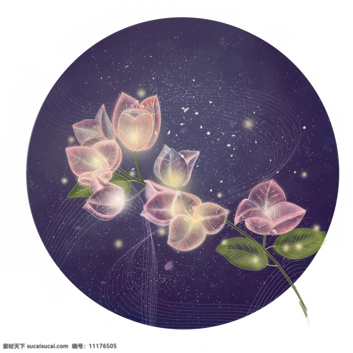 中国 风 古典 独特 透明感 三角梅 商用 插画 配 图 透气 通透 植物 花朵 叶子 星空 光感