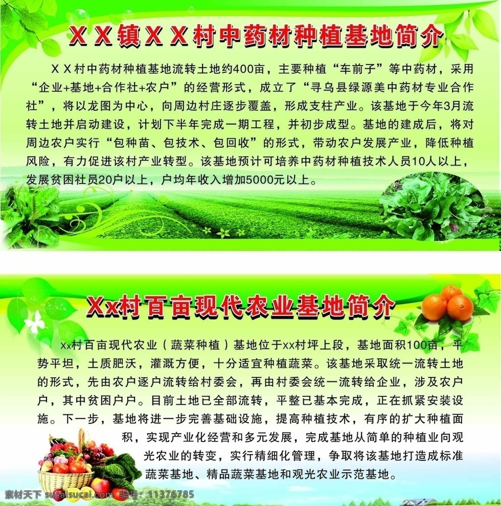 中药材 基地 简介 海报 宣传栏 现代农业 农业