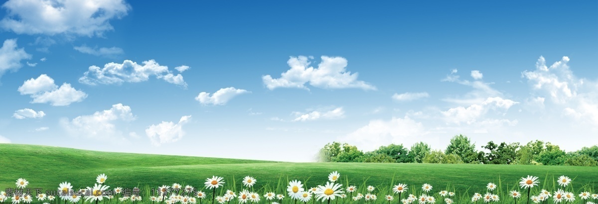 美丽 草地 景色 设计素材 花草 树木 蓝天 白云 广告设计模板 源文件