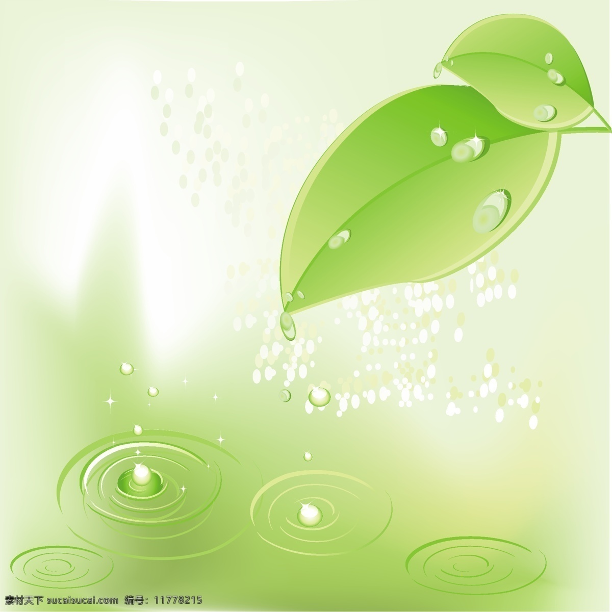 矢量 瓢虫 绿色 叶 材料 液滴 绿 滴 矢量图 其他矢量图
