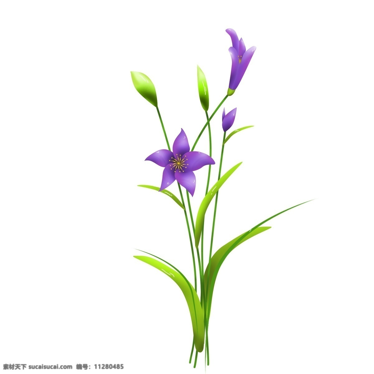 商用 高清 手绘 植物 花卉 兰花 绿叶 可商用 蓝花