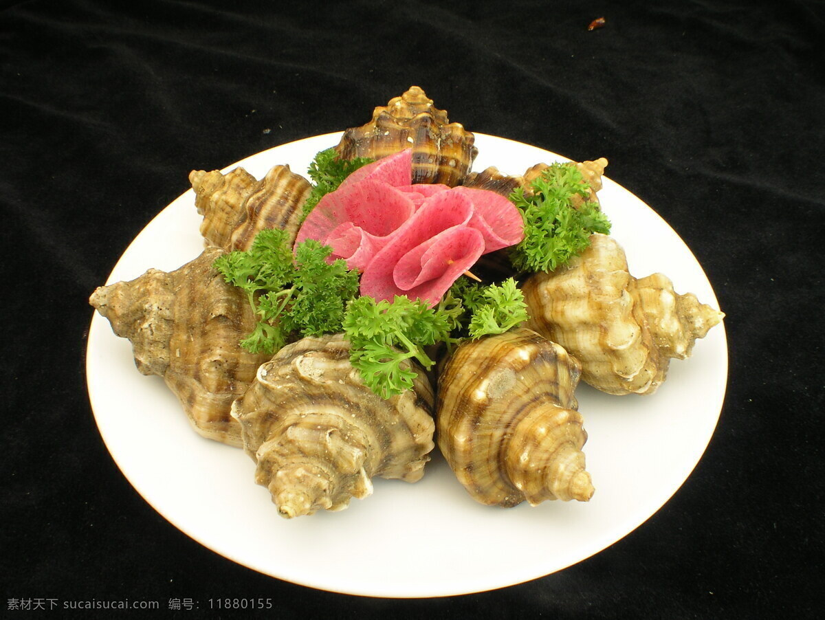 海螺 海螺摄影 海鲜美食 中华美食 中国美食 美味佳肴 菜谱素材 美食摄影 餐饮美食