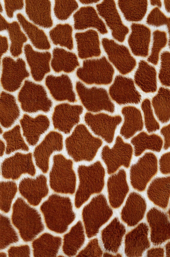 地毯 贴图 毯 类 地毯素材 地毯贴图 地毯3d贴图 织物贴图 织物贴图素材 3d模型素材 材质贴图