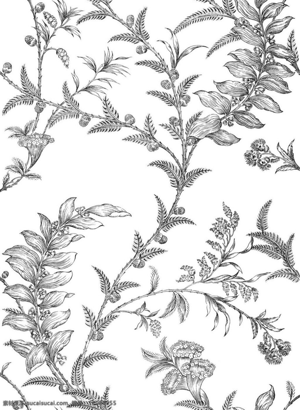 清新 雅致 灰色 植物 壁纸 图案 白色底纹 壁纸图案 素描画 植物元素
