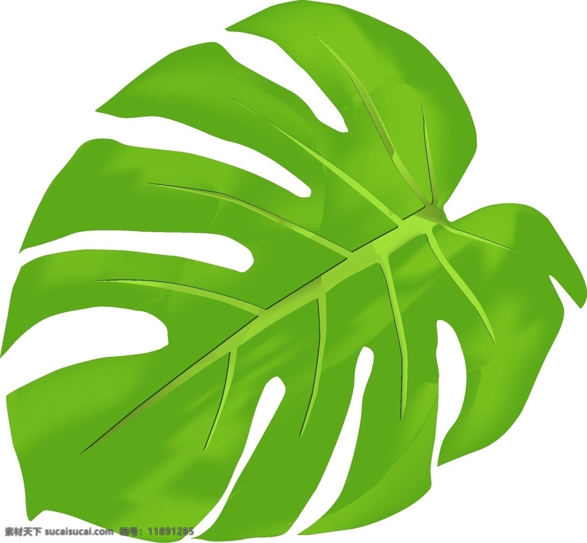 卡通 手绘 薄荷 绿叶 卡通手绘 创意 植物 简约 小 清新 叶子 卡通叶子 手绘叶子 青色叶子 小清新 薄荷叶 叶片