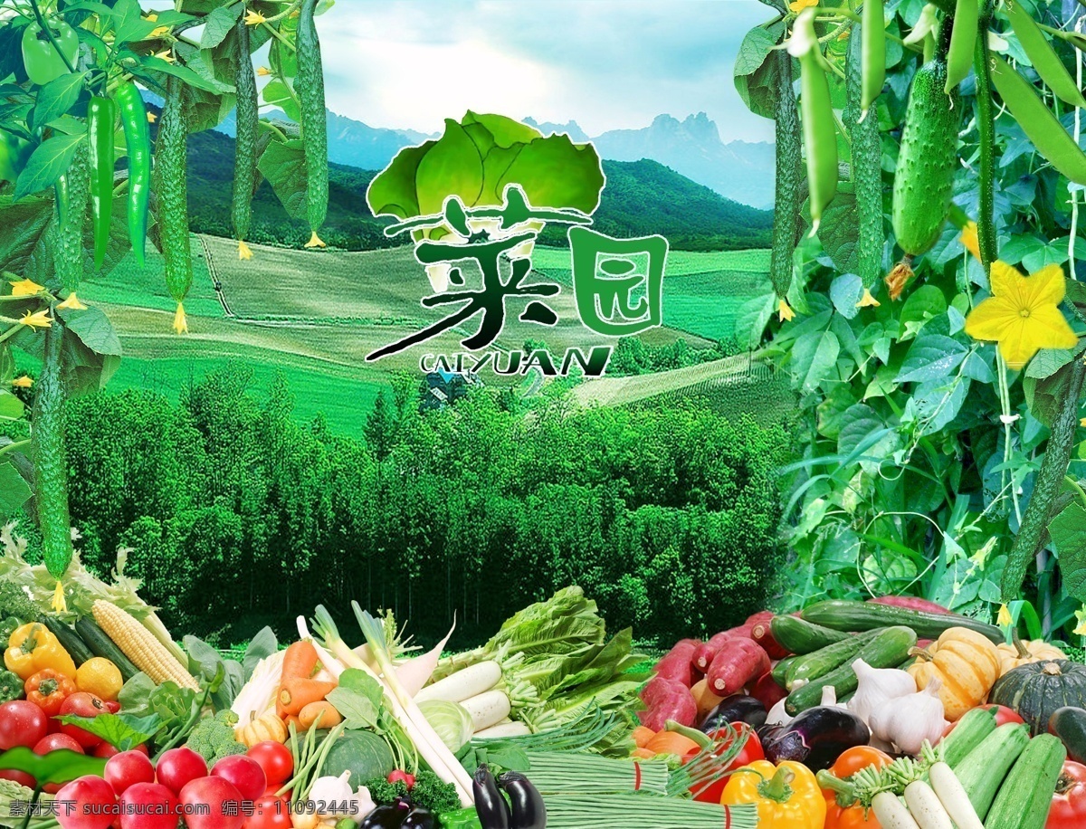 蔬菜水果 水果蔬菜 蔬菜海报 蔬菜广告 蔬菜背景 卡通蔬菜 蔬菜图片 有机蔬菜 绿色蔬菜 蔬菜名片 新鲜蔬菜 蔬菜 健康食品 菜 海报 海报素材 绿色素材 分层
