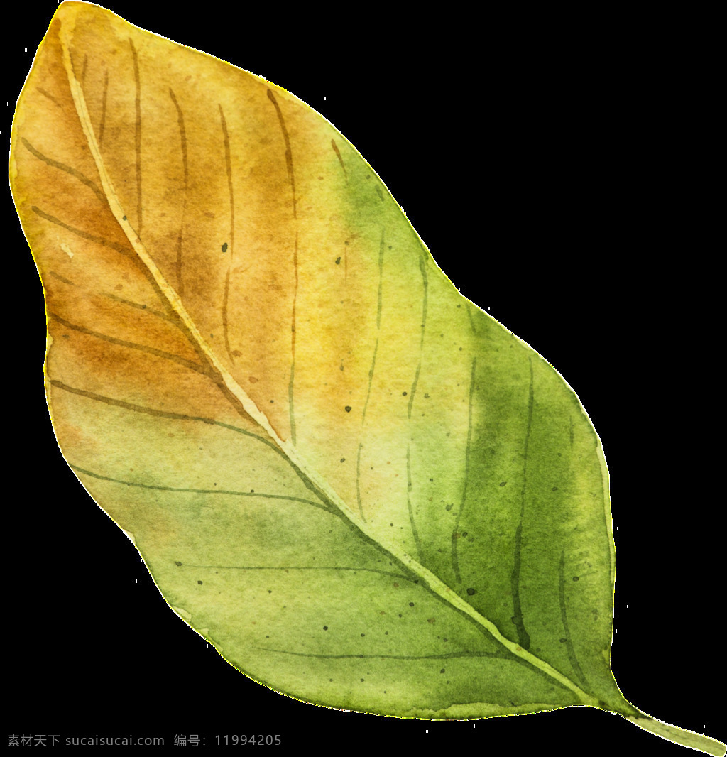 片 枯黄 秋季 落叶 矢量 黄色 绿色 平面素材 设计素材 矢量素材 树叶 叶子